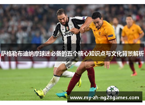 萨格勒布迪纳摩球迷必备的五个核心知识点与文化背景解析