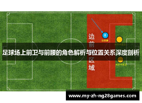 足球场上前卫与前腰的角色解析与位置关系深度剖析