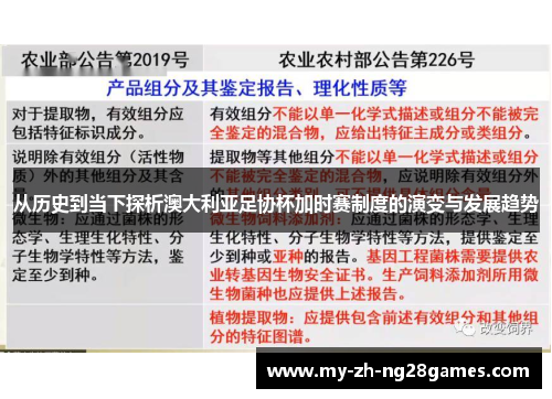 从历史到当下探析澳大利亚足协杯加时赛制度的演变与发展趋势 从历史到当下探析澳大利亚足协杯加时赛制度的演变与发展趋势
