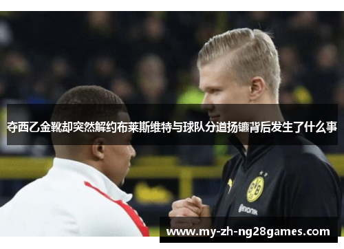 夺西乙金靴却突然解约布莱斯维特与球队分道扬镳背后发生了什么事 夺西乙金靴却突然解约布莱斯维特与球队分道扬镳背后发生了什么事